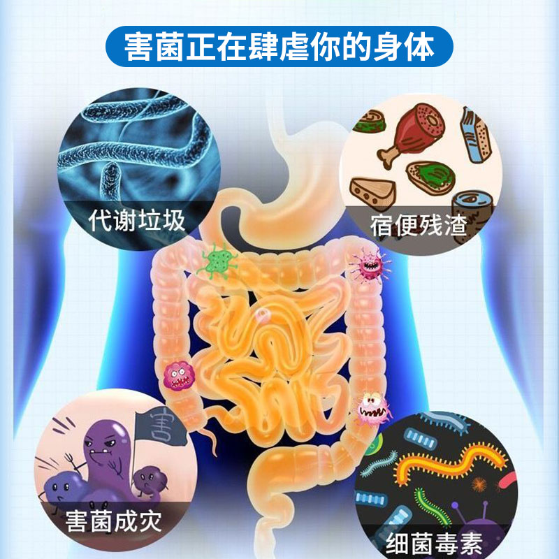 益生菌腸胃益生女性大人成人酵素果凍活性菌元復合粉兒童凍干代工(圖4)